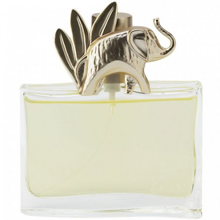 jungle-for-women-2